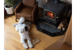 Dog on floor in front of log burner