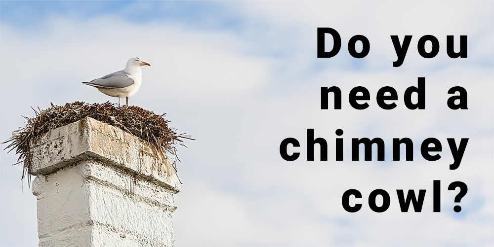 seagull nesting on chimney