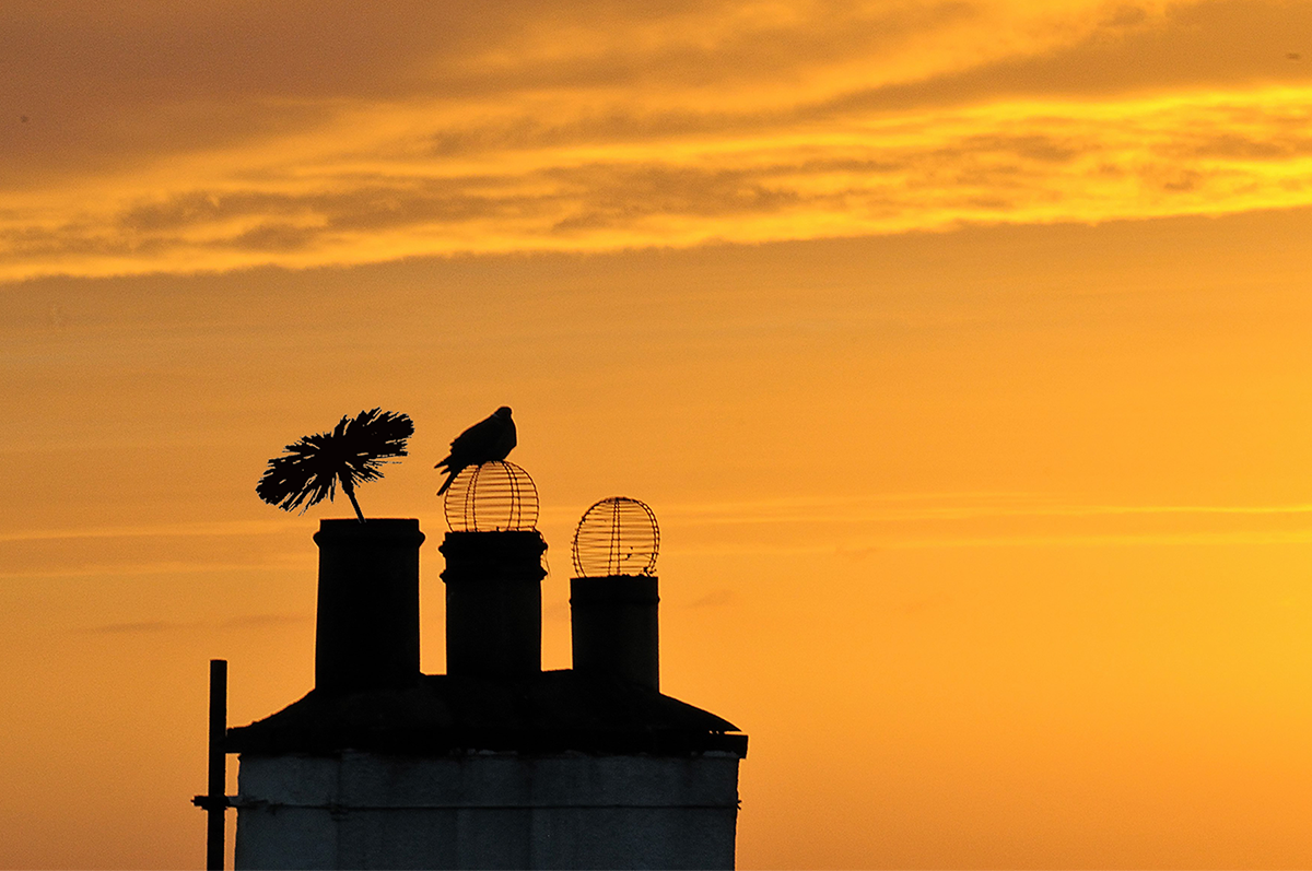 chimney being swept at sunset