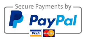secure paypal payments